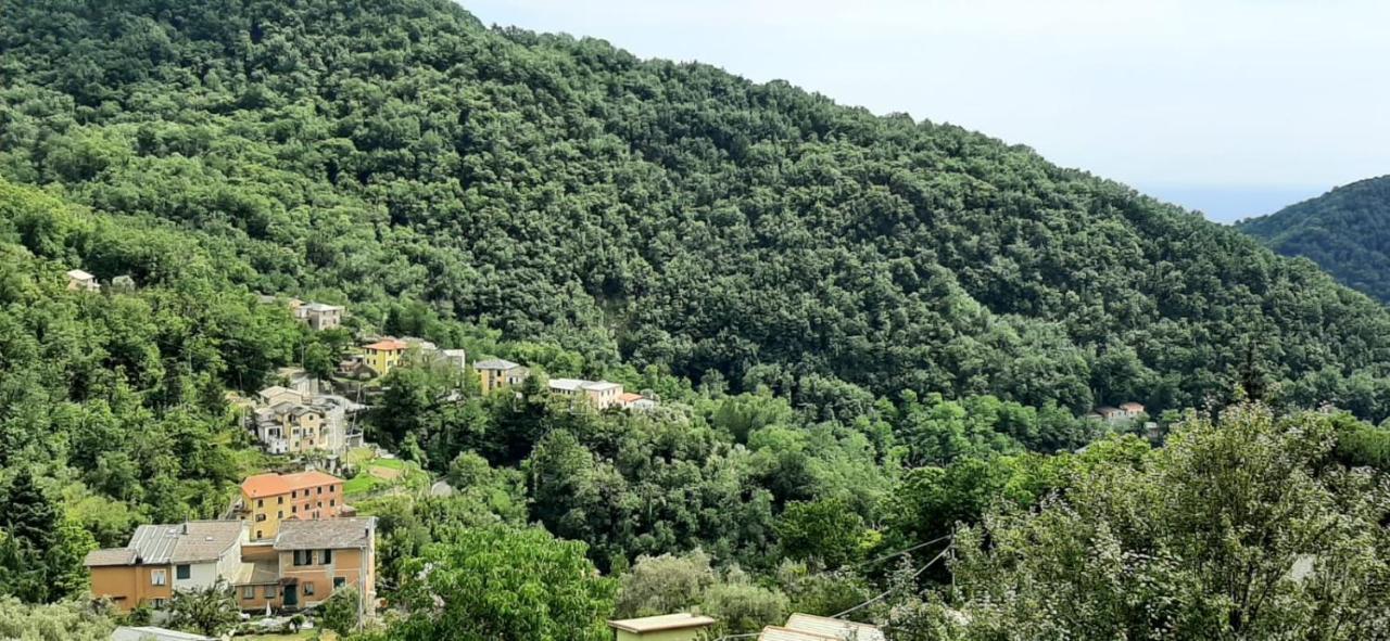 Anita B&B Uscio Dış mekan fotoğraf