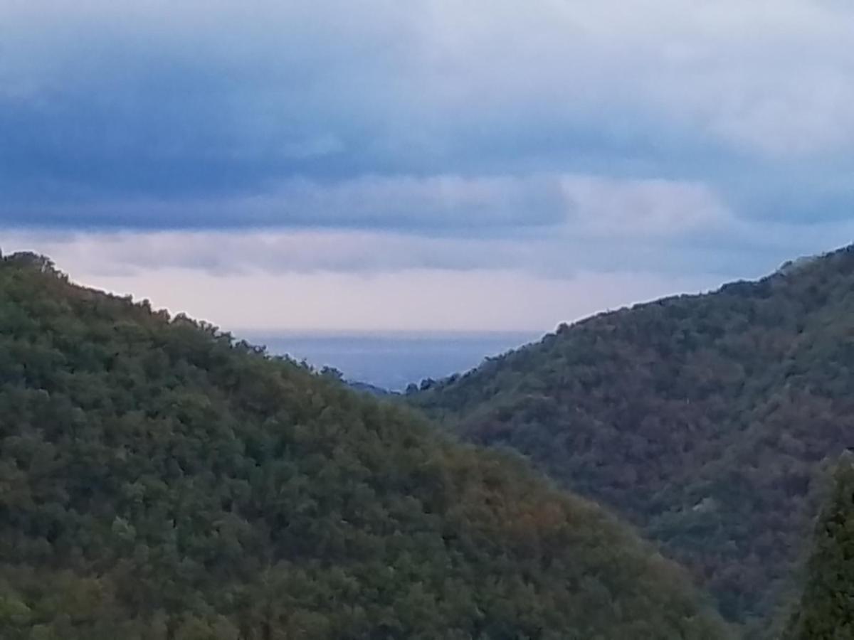 Anita B&B Uscio Dış mekan fotoğraf